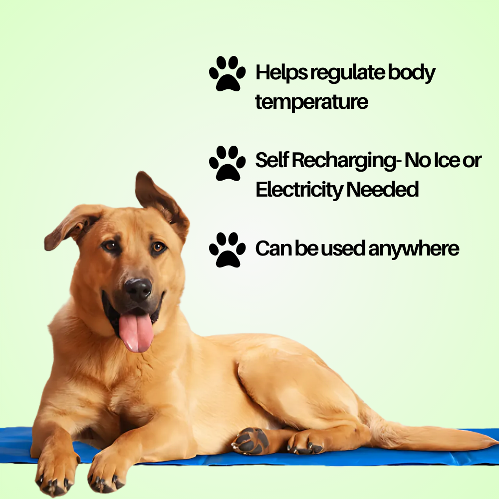 Pet Cooling Mat V2