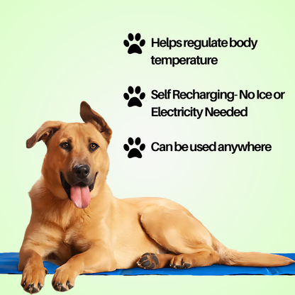 Pet Cooling Mat V2