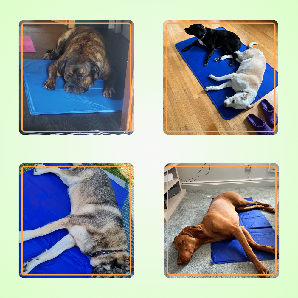 Pet Cooling Mat V2