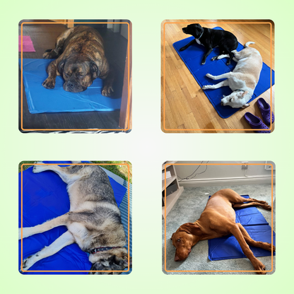 Pet Cooling Mat V2